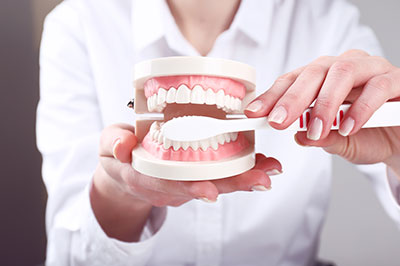 A person holding a model of a human mouth with teeth, using a toothpaste dispenser.